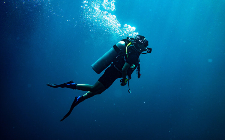 Kobieta nurek w płetwach, stroju nurka oraz butli tlenowej i masce pod wodą