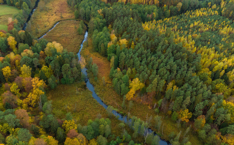 widok z samolotu na rzekę i las