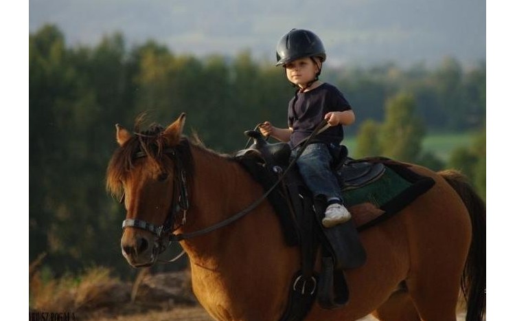 kilkuletnie dziecko jadące na koniu