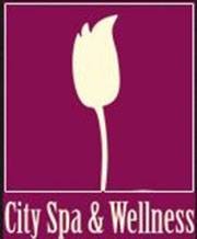 logo wykonawcy City SPA