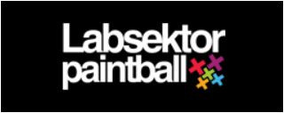 logo wykonawcy Labsektor